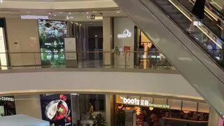 푹신한 곳을 찾은 고양이