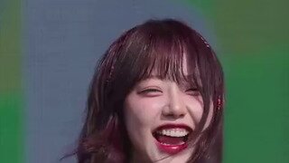 워터밤 3대장