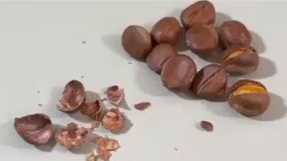 기막힌 타이밍