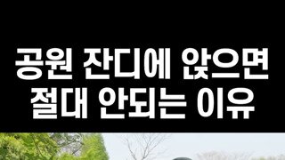잔디에 앉으면 안되는 이유