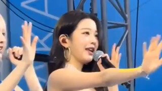 한국 군대 부대 마크 모으고 있다는 일본 어느 카페