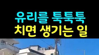 살면서 절대 상종하지말야얄 인간 분류