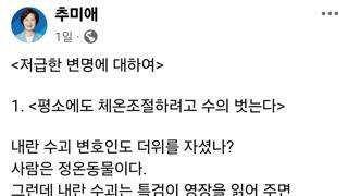 추미애 