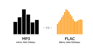 320kbps mp3와 flac 구별되시나요...