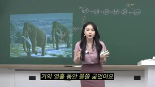 구석기 마인드녀