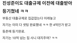 진성준 부동산 대출 