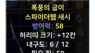 레어 벨트 감정부탁드립니다.