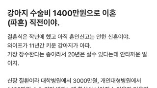 반려견 치료비 1,400만원 때문에 이혼직전이야.