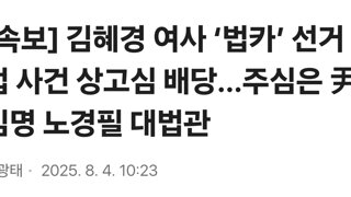 [속보] 김혜경 여사 ‘법카’ 선거법 사건 상고심 배당…주심은 尹 임명 노경필 대법관