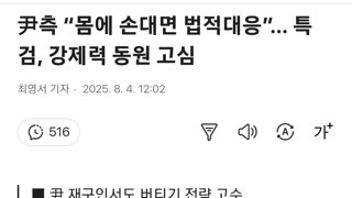 내란수괴 