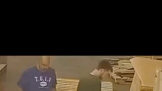 덤앤더머