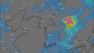 휴가 피크인거 같은데 이번주 내내 비 예보네요