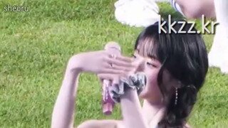 MZ 조폭의 인사법
