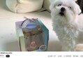 썸네일 이미지