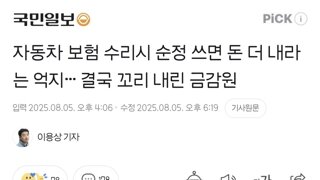 자동차 보험수리시 대체부품 사용 개정안 변경되었네요