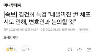 [속보] 김건희 특검 