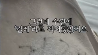 호텔제공 수건에 