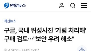구글...국내 위성사진 가림 처리해 구매 검토,보안우려 해소