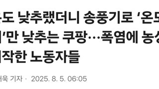 온도 낮추랬더니 송풍기로 ‘온도계’만 낮추는 쿠팡