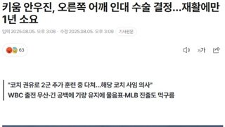 키움 안우진 복귀하기도전에 시즌아웃