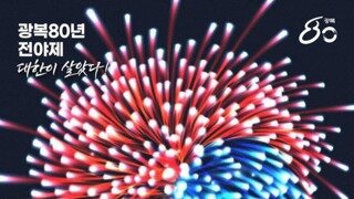 광복80주년 전야제 출연진