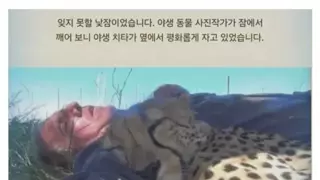 평생 잊지 못할 낮잠을 잔 남자