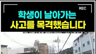 (혐) 사고 영상 차의 과실 여부는?