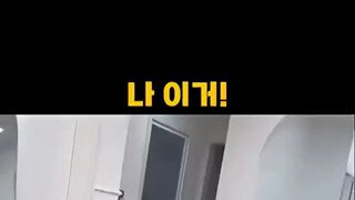 전생에 공주였던 댕댕이
