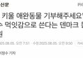 썸네일 이미지