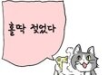 썸네일 이미지