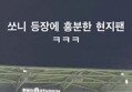 썸네일 이미지