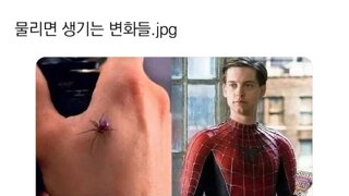 물리면 생기는 변화들