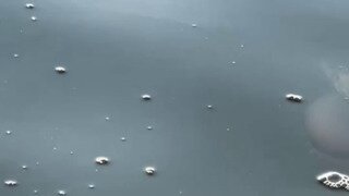 보트 보이 챌린지 하는 게