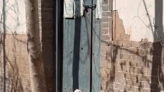 귀엽습니다.