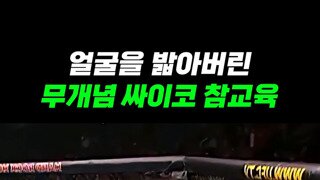 옛날부터 미친 개는 매로 다스렸다