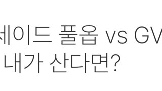 팰리세이드 풀옵 vs GV80 깡통, 내가 산다면?