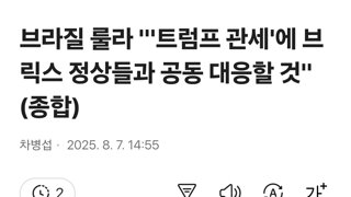 브라질 룰라 