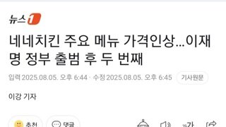 평균 4.5퍼 가격 인상한 네네치킨