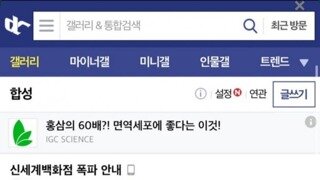 신세계 테러사건 전체 요약