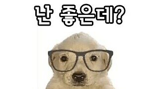 외국인들이 한국에서 제일 싫어하는 것.