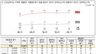 [NBS여조]이대통령 65% 민주44% 내란16%