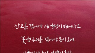 정청래, 노무현 전 대통령 묘역 참배