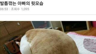 발톱깎는 아빠 뒷모습