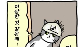 인도의 라따뚜이