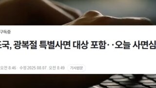 8.15사면 조국전대표 사면복권 대상포함
