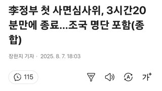 조국 815사면