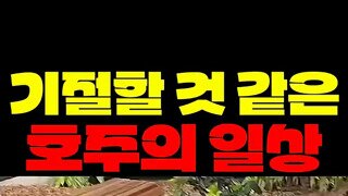 강심장만 살 수 있다는 호주