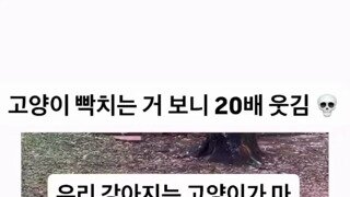 탈옥범과 간수