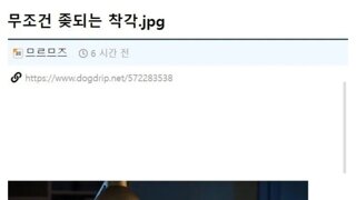 하면 무조건 ㅈ된다는 판단
