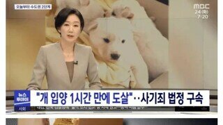 잘키우겠다, 강아지 입양후 1시간만에 도살
